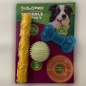 Gnawsome Durable Spikey Dog Toy